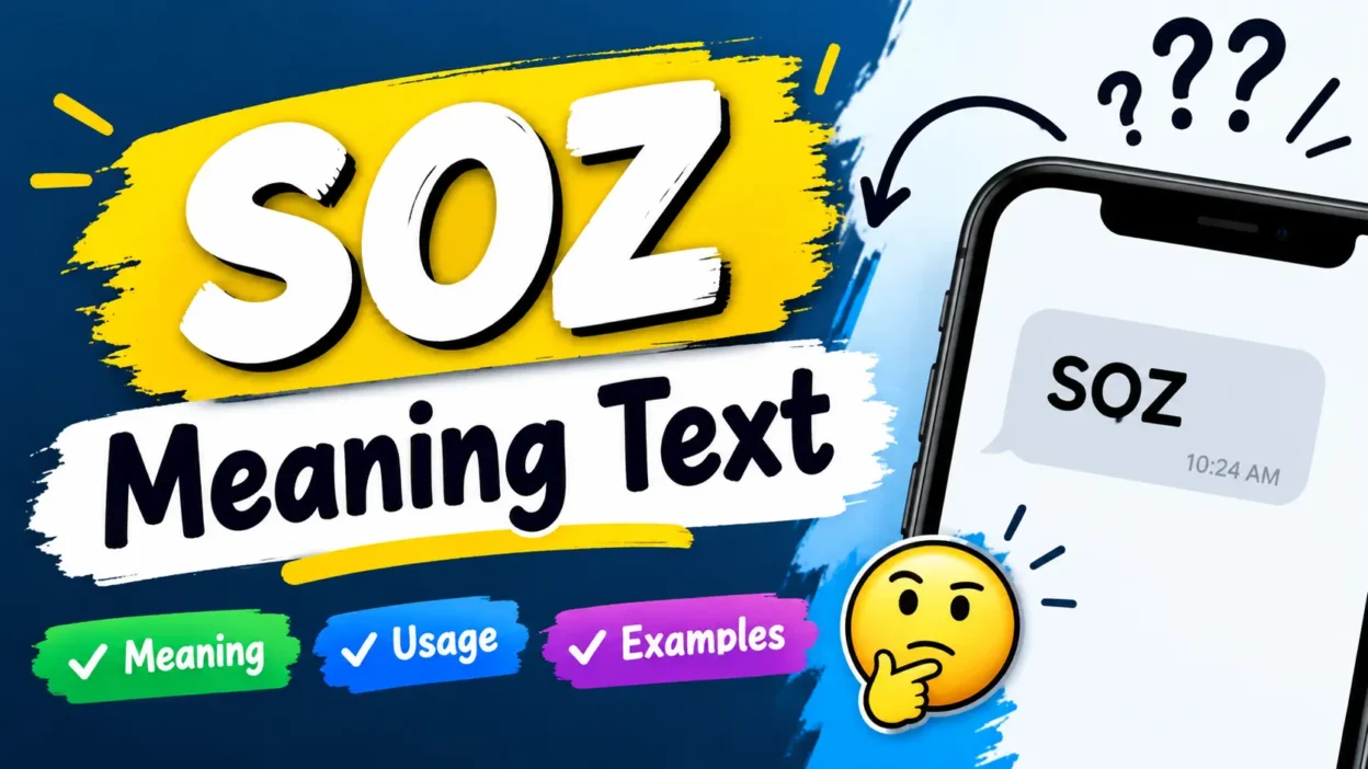 SOZ Meaning Text